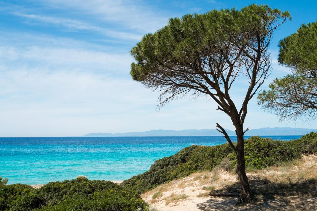 Appartamento Con Vista Mare A Terramala Terra Mala Exterior photo